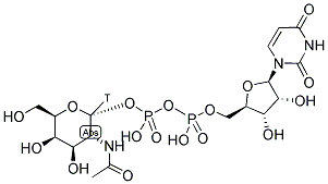 URIDINE DIPHOSPHATE N-ACETYL-D-GALACTOSAMINE, [GALACTOSAMINE-1-3H(N)]- Struktur