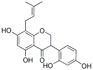 KIEVITONE Struktur