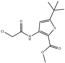 METHYL 5-(TERT-BUTYL)-3-[(2-CHLOROACETYL)AMINO]THIOPHENE-2-CARBOXYLATE Struktur