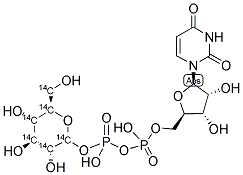 URIDINE DIPHOSPHATE GLUCOSE,[D-GLUCOSE-U-14C] Struktur