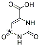 OROTIC ACID, [6-14C] Struktur