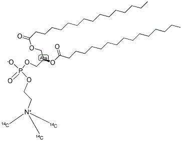 PHOSPHATIDYLCHOLINE, L-ALPHA-DIPALMITOYL, [CHOLINE-METHYL-14C] Struktur