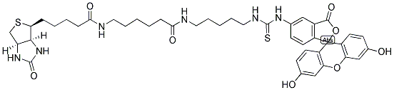 FLUORESCEIN BIOTIN Struktur