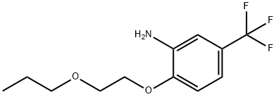 2-(2-PROPOXYETHOXY)-5-(TRIFLUOROMETHYL)ANILINE Struktur