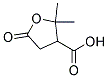 2,2-DIMETHYL-5-OXOTETRAHYDRO-3-FUROICACID Struktur