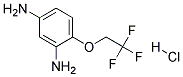 2,4-Diamino-1-(2,2,2-Trifluoroethoxy)Benzene Hydrochloride Struktur