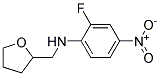 (2-FLUORO-4-NITRO-PHENYL)-(TETRAHYDRO-FURAN-2-YL-METHYL)-AMINE Struktur