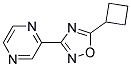 2-(5-CYCLOBUTYL-1,2,4-OXADIAZOL-3-YL)PYRAZINE, TECH Struktur