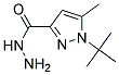 1-TERT-BUTYL-5-METHYLPYRAZOLE-3-CARBOHYDRAZID Struktur