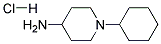 1-CYCLOHEXYL-PIPERIDIN-4-YLAMINE, HCL Struktur