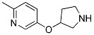 2-METHYL-5-(3-PYRROLIDINYLOXY)PYRIDINE Struktur