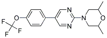 2,6-DIMETHYL-4-(5-[4-(TRIFLUOROMETHOXY)PHENYL]PYRIMIDIN-2-YL)MORPHOLINE Struktur