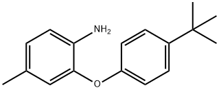 2-[4-(TERT-BUTYL)PHENOXY]-4-METHYLPHENYLAMINE Struktur