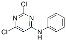 (2,6-Dichloro-pyrimidin-4-yl)-phenyl-amine Struktur