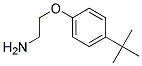 2-(4-TERT-BUTYLPHENOXY)ETHANAMINE Struktur