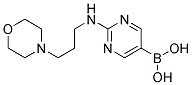 (2-[(3-MORPHOLIN-4-YLPROPYL)AMINO]PYRIMIDIN-5-YL)BORONIC ACID Struktur