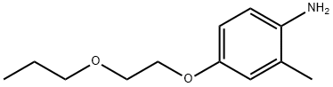 2-METHYL-4-(2-PROPOXYETHOXY)ANILINE Struktur