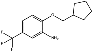 2-(CYCLOPENTYLMETHOXY)-5-(TRIFLUOROMETHYL)ANILINE Struktur