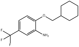 2-(CYCLOHEXYLMETHOXY)-5-(TRIFLUOROMETHYL)ANILINE Struktur