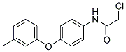 2-CHLORO-N-[4-(3-METHYLPHENOXY)PHENYL]ACETAMIDE Struktur