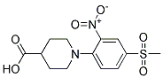 1-[4-(Methylsulphonyl)-2-nitrophenyl]piperidine-4-carboxylic acid Struktur