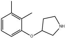 3-(2,3-DIMETHYLPHENOXY)PYRROLIDINE Struktur