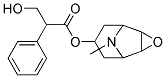 3-HYDROXY-2-PHENYL-PROPIONIC ACID 9-METHYL-3-OXA-9-AZA-TRICYCLO[3.3.1.0(2,4)]NON-7-YL ESTER Struktur