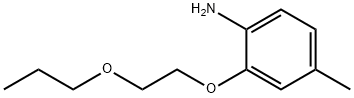 4-METHYL-2-(2-PROPOXYETHOXY)ANILINE Struktur