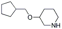 3-(CYCLOPENTYLMETHOXY)PIPERIDINE Struktur