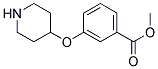 METHYL 3-(4-PIPERIDINYLOXY)BENZOATE Struktur