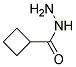 CYCLOBUTANECARBOXYLIC ACID HYDRAZIDE Struktur