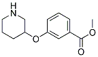 METHYL 3-(3-PIPERIDINYLOXY)BENZOATE Struktur