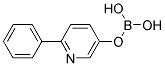 2-PHENYLPYRIDINE-5-BORIC ACID Struktur