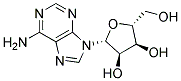 ANTI-ADENOSINE Struktur