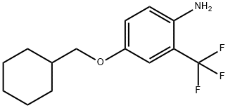 4-(CYCLOHEXYLMETHOXY)-2-(TRIFLUOROMETHYL)ANILINE Struktur