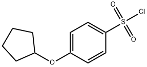 4-CYCLOPENTYLOXY-BENZENESULFONYL CHLORIDE Struktur