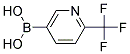 2-(TRIFLUOROMETHYL)PYRIDIN-5-YLBORONIC ACID Struktur