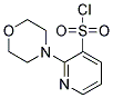 2-MORPHOLINO-3-PYRIDINESULPHONYL CHLORIDE Struktur