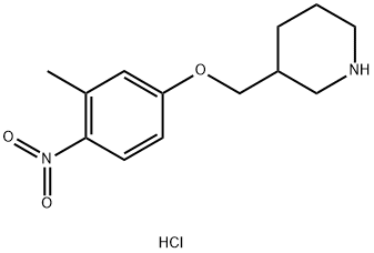 3-[(3-METHYL-4-NITROPHENOXY)METHYL]PIPERIDINE Struktur