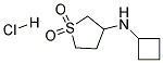 CYCLOBUTYL-(1,1-DIOXO-TETRAHYDROTHIOPHEN-3-YL)-AMINE HYDROCHLORIDE Struktur