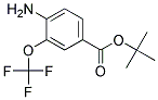 TERT-BUTYL 4-AMINO-3-(TRIFLUOROMETHOXY)BENZOATE Struktur