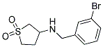 N-(3-BROMOBENZYL)TETRAHYDROTHIOPHEN-3-AMINE 1,1-DIOXIDE Struktur