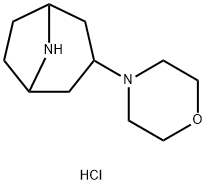 3-(4-MORPHOLINYL)-8-AZABICYCLO[3.2.1]OCTANE Struktur