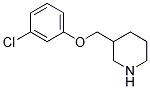 3-[(3-CHLOROPHENOXY)METHYL]PIPERIDINE Struktur