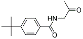 4-TERT-BUTYL-N-(2-OXOPROPYL)BENZAMIDE Struktur