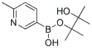 2-PICOLINE-5-BORONIC ACID PINACOL ESTER Struktur