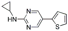 N-CYCLOPROPYL-5-THIEN-2-YLPYRIMIDIN-2-AMINE Struktur