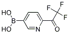 [6-(TRIFLUOROACETYL)PYRIDIN-3-YL]BORONIC ACID Struktur