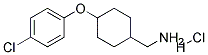 [4-(4-CHLORO-PHENOXY)-CYCLOHEXYL]-METHYL-AMINE HYDROCHLORIDE Struktur