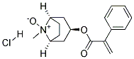 APO ATROPINE-N-OXIDE HCL Struktur